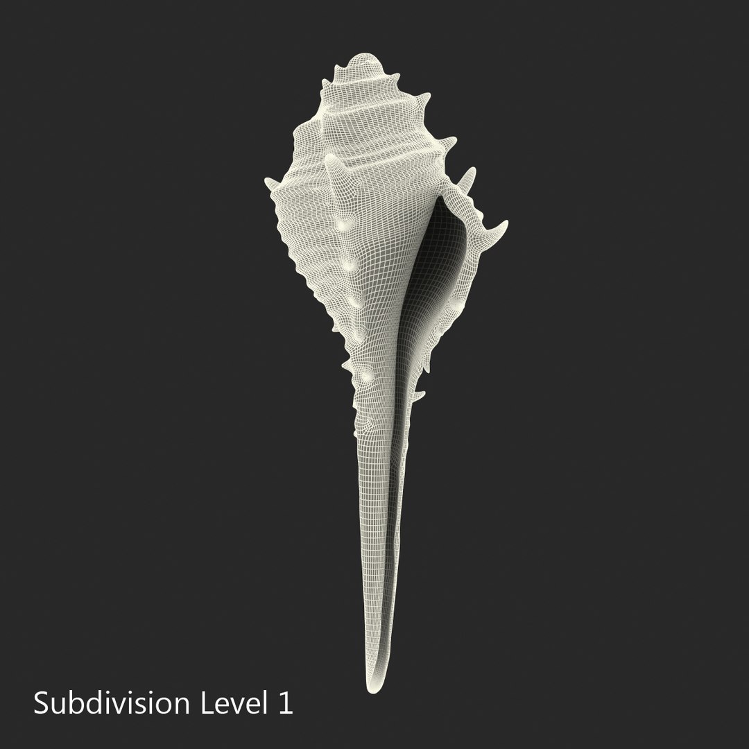 3d seashell 3 https://p.turbosquid.com/ts-thumb/9U/Nv9dVx/eKxgRhMK/seashell3dmodel15/jpg/1465554607/1920x1080/fit_q87/a89a1cc34f5db3e0ce69615227fcf282d7d5f842/seashell3dmodel15.jpg