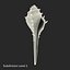 Model 3D Seashell 3