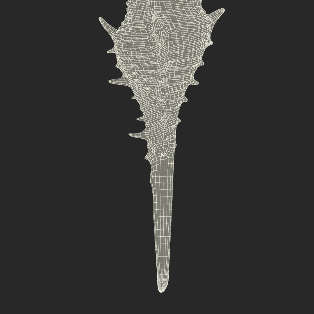 3d seashell 3 https://p.turbosquid.com/ts-thumb/9U/Nv9dVx/odysNwIr/seashell3dmodel28/jpg/1465554609/1920x1080/fit_q87/86a9113427c8affe4609bfbbcc8c06f8573b3556/seashell3dmodel28.jpg
