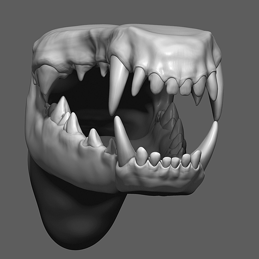 3D Dog Mouth ZBrush Sculpt model TurboSquid 1770224