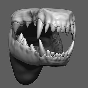 Dog Mouth ZBrush Sculpt