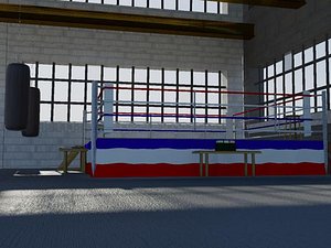 3ds boxing gym