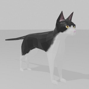 black and white cat - rigged