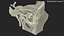 Detailed Human Eye Anatomy Cross Section 3D model