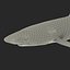 Blue Shark Rigged for Cinema 4D