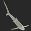 Blue Shark Rigged for Cinema 4D