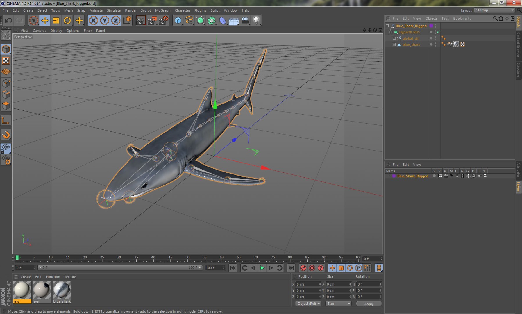 3d model blue shark rigged https://p.turbosquid.com/ts-thumb/9U/pBuLBh/H8FtxazT/bluesharkriggedcinema4d3dmodel22/jpg/1479141422/1920x1080/fit_q87/81ef471e6071903feca64d7d30e917cbaa35f8bf/bluesharkriggedcinema4d3dmodel22.jpg