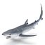 Blue Shark Rigged for Cinema 4D