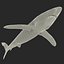 Blue Shark Rigged for Cinema 4D