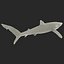 Blue Shark Rigged for Cinema 4D