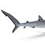 Blue Shark Rigged for Cinema 4D