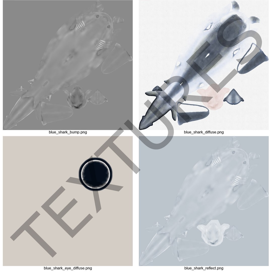 3d model blue shark rigged https://p.turbosquid.com/ts-thumb/9U/pBuLBh/oTGAHAj0/bluesharkriggedcinema4d3dmodel27/jpg/1479141422/1920x1080/fit_q87/79c9c1f9ec54228c1e39a6f53aac2e9671c5aa79/bluesharkriggedcinema4d3dmodel27.jpg