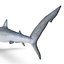 Blue Shark Rigged for Cinema 4D