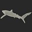 Blue Shark Rigged for Cinema 4D