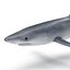 Blue Shark Rigged for Cinema 4D