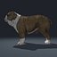 Bulldog