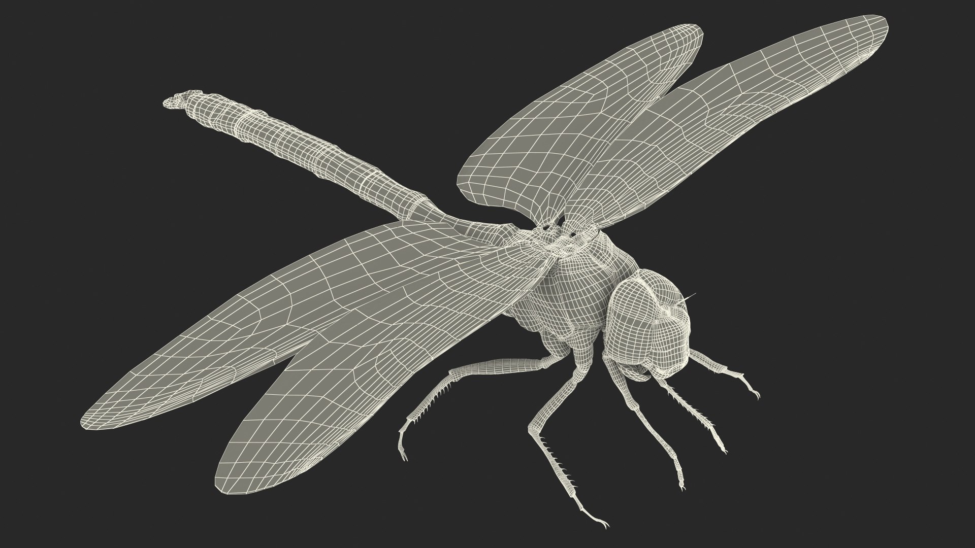 Dragonfly Rigged For Maya 3D Model - TurboSquid 1994070