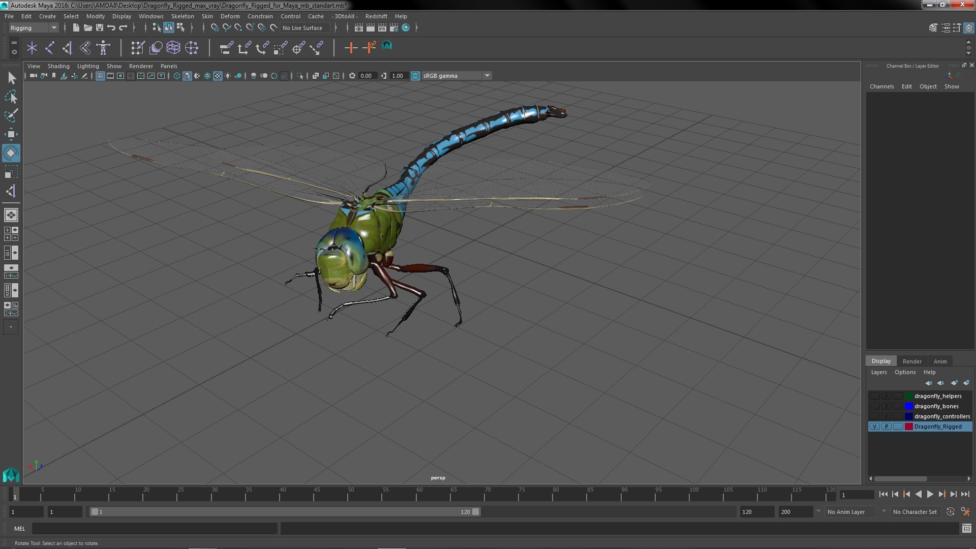 Dragonfly Rigged For Maya 3D Model - TurboSquid 1994070