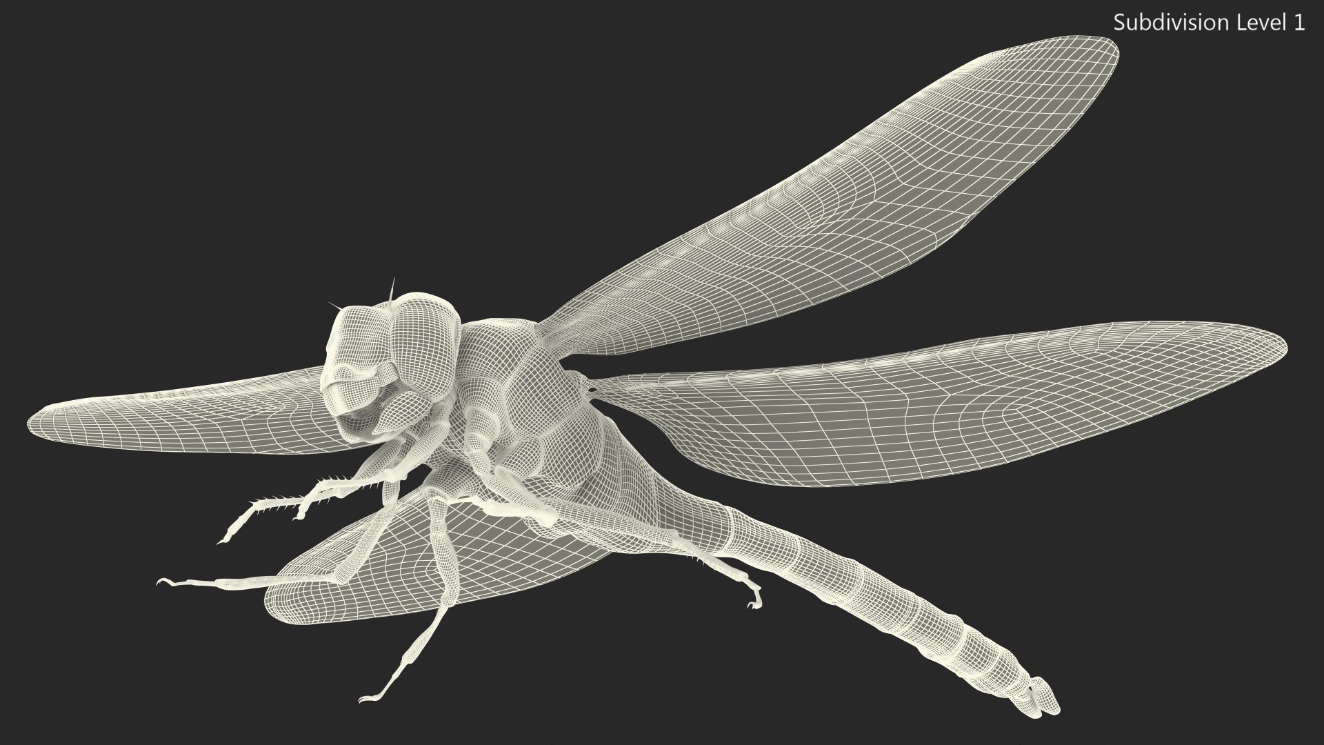 Dragonfly Rigged for Maya 3D model - TurboSquid 1994070