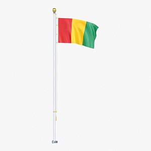 3D Guinea Flag Stand Pole Animated Loop model