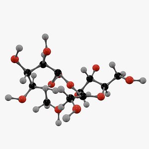3D Sucrose Molecule
