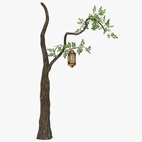 Tree with Lantern