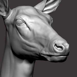 3D model Red Deer Doe Zbrush Sculpture Digital