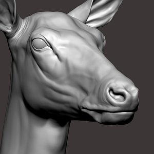 Red Deer Doe Zbrush Sculpture Digital