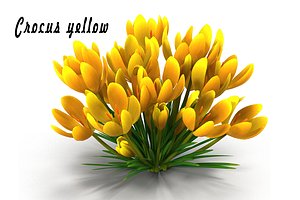 crocus 3d obj