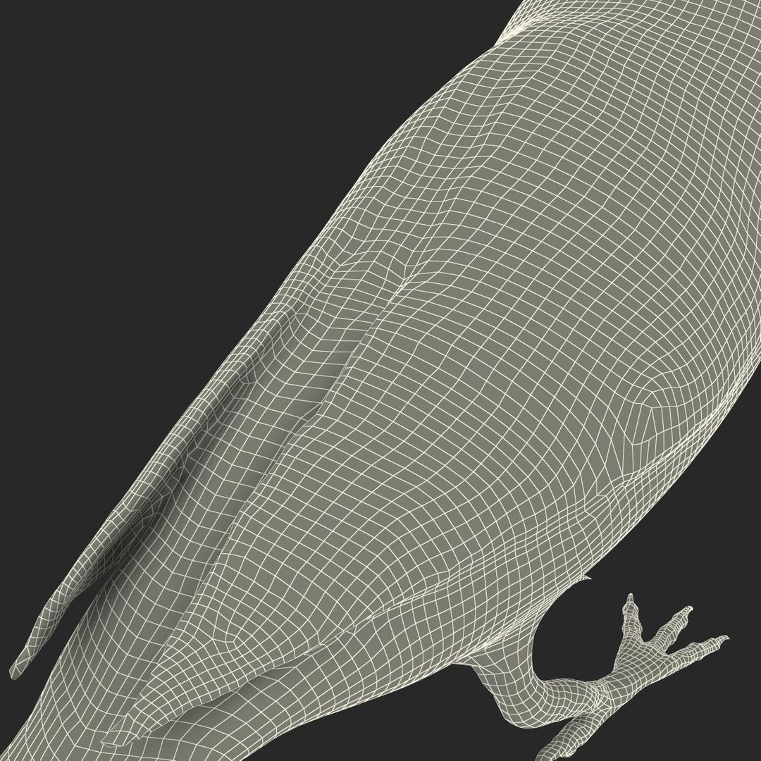 house sparrow 3d 3ds https://p.turbosquid.com/ts-thumb/9V/hjpU8V/40WrBk5Q/housesparrow_28/jpg/1392337429/1920x1080/fit_q87/eb52ec1cb22b857cc1b18fa6946ac8021b0bba57/housesparrow_28.jpg