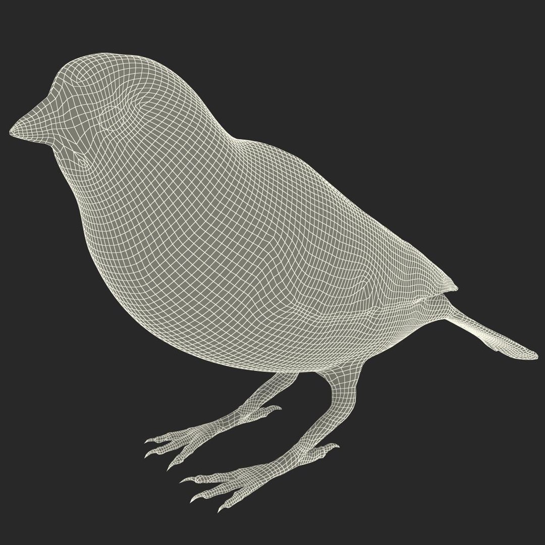 house sparrow 3d 3ds https://p.turbosquid.com/ts-thumb/9V/hjpU8V/8Vk5ll6Z/housesparrow_19/jpg/1392337399/1920x1080/fit_q87/1b67f0fa499cd1d9d97727124aa776826bd1cab4/housesparrow_19.jpg