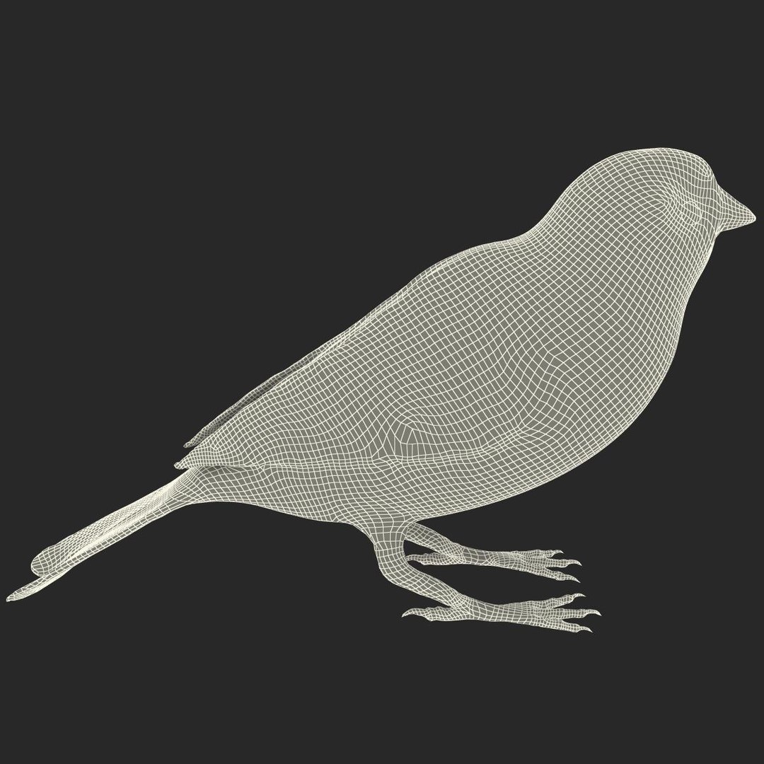 house sparrow 3d 3ds https://p.turbosquid.com/ts-thumb/9V/hjpU8V/C5sdEr0T/housesparrow_21/jpg/1392337409/1920x1080/fit_q87/0e01cbb399304e05165d1142121957f678177ad2/housesparrow_21.jpg