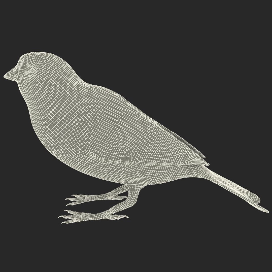 house sparrow 3d 3ds https://p.turbosquid.com/ts-thumb/9V/hjpU8V/CmCA5hse/housesparrow_18/jpg/1392337400/1920x1080/fit_q87/e873331a33cbb1f559ebf79f82cf1183f2c52c84/housesparrow_18.jpg