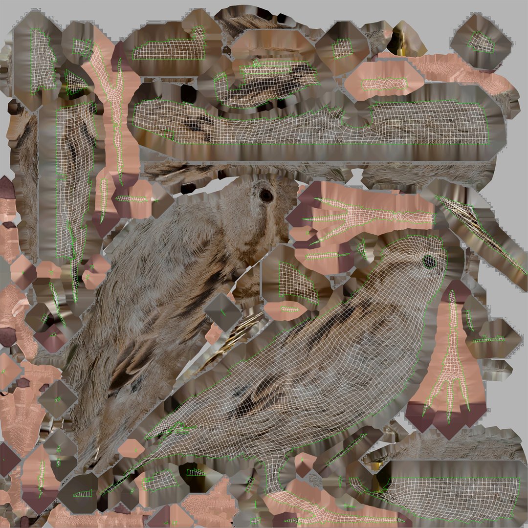 house sparrow 3d 3ds https://p.turbosquid.com/ts-thumb/9V/hjpU8V/mliIwZ5X/housesparrow_3/jpg/1392337356/1920x1080/fit_q87/202c80d564427d529d7d2d5b416cddcfaa73ad82/housesparrow_3.jpg