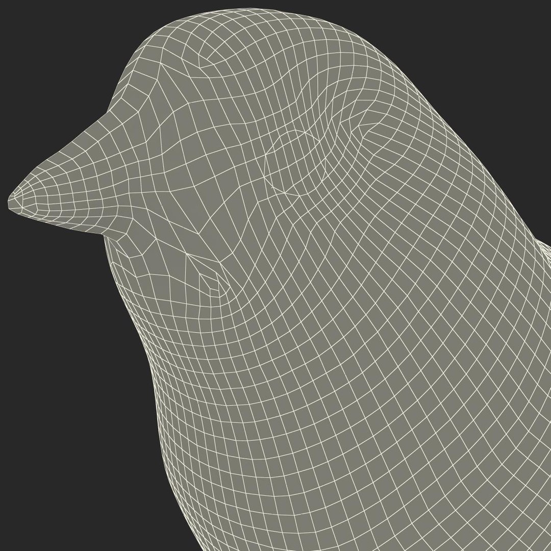 house sparrow 3d 3ds https://p.turbosquid.com/ts-thumb/9V/hjpU8V/qXwJ90ee/housesparrow_24/jpg/1392337414/1920x1080/fit_q87/a4e57e67a66267767e099f605cfed1aefd0898ed/housesparrow_24.jpg