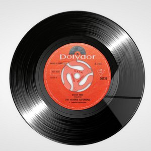 45 RPM Adapter