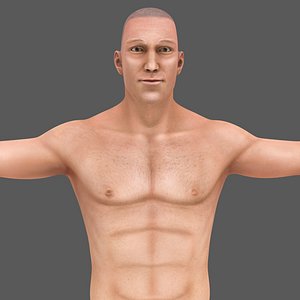 body arteries veins 3D model