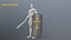 shield set