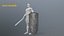 shield set