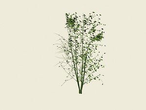 3d model plants