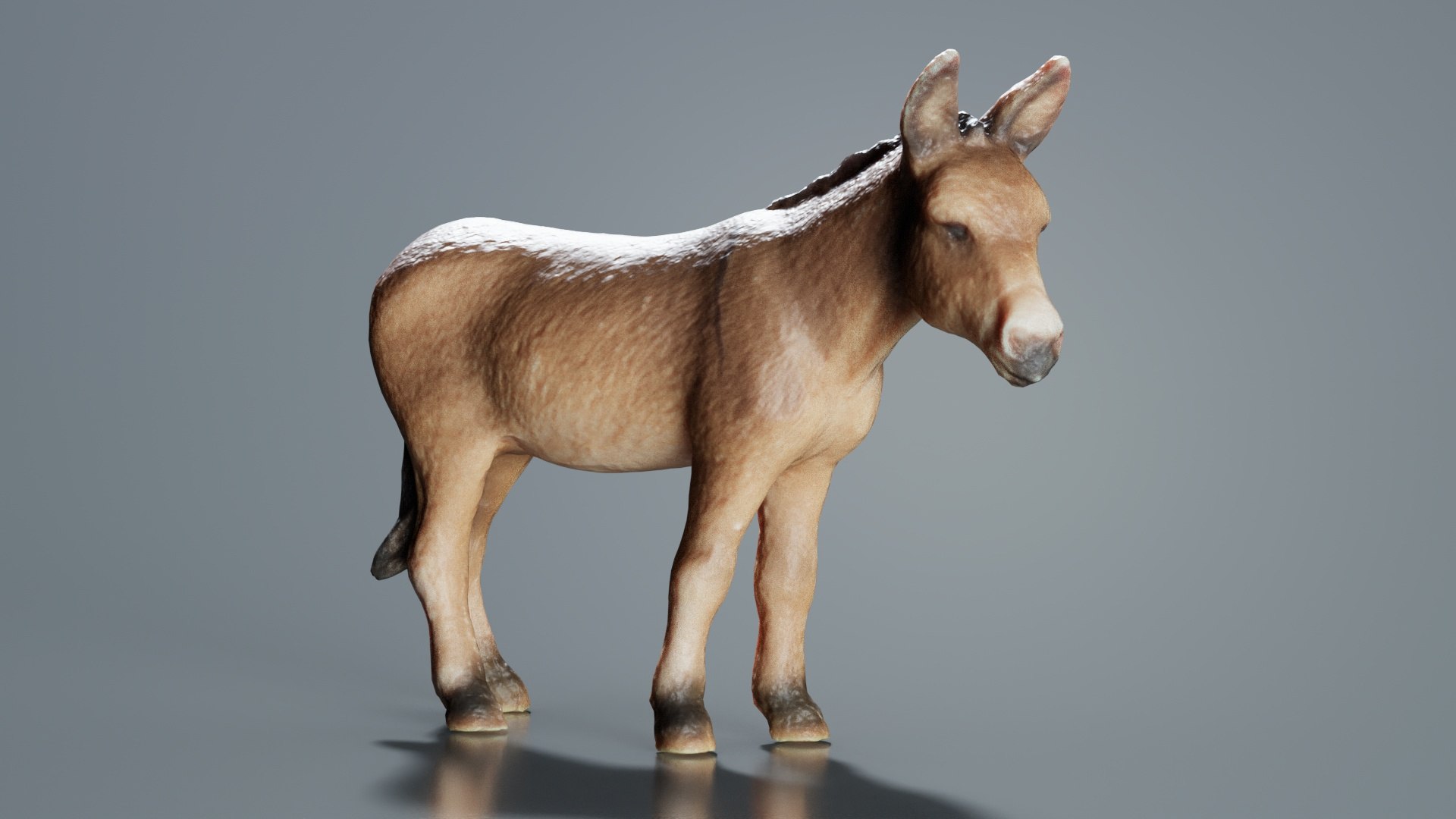 Donkey Remastered 3D Model - TurboSquid 2363565