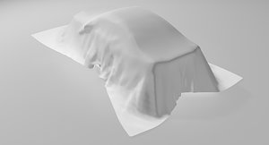 Car cloth