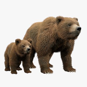 Mobile - Super Bear Adventure - Bear Cube - The Models Resource