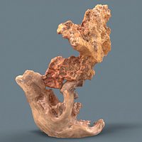 Suiseki Stone 17