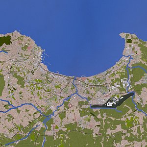 algiers algeria buildings 3D