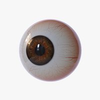 Eyeball