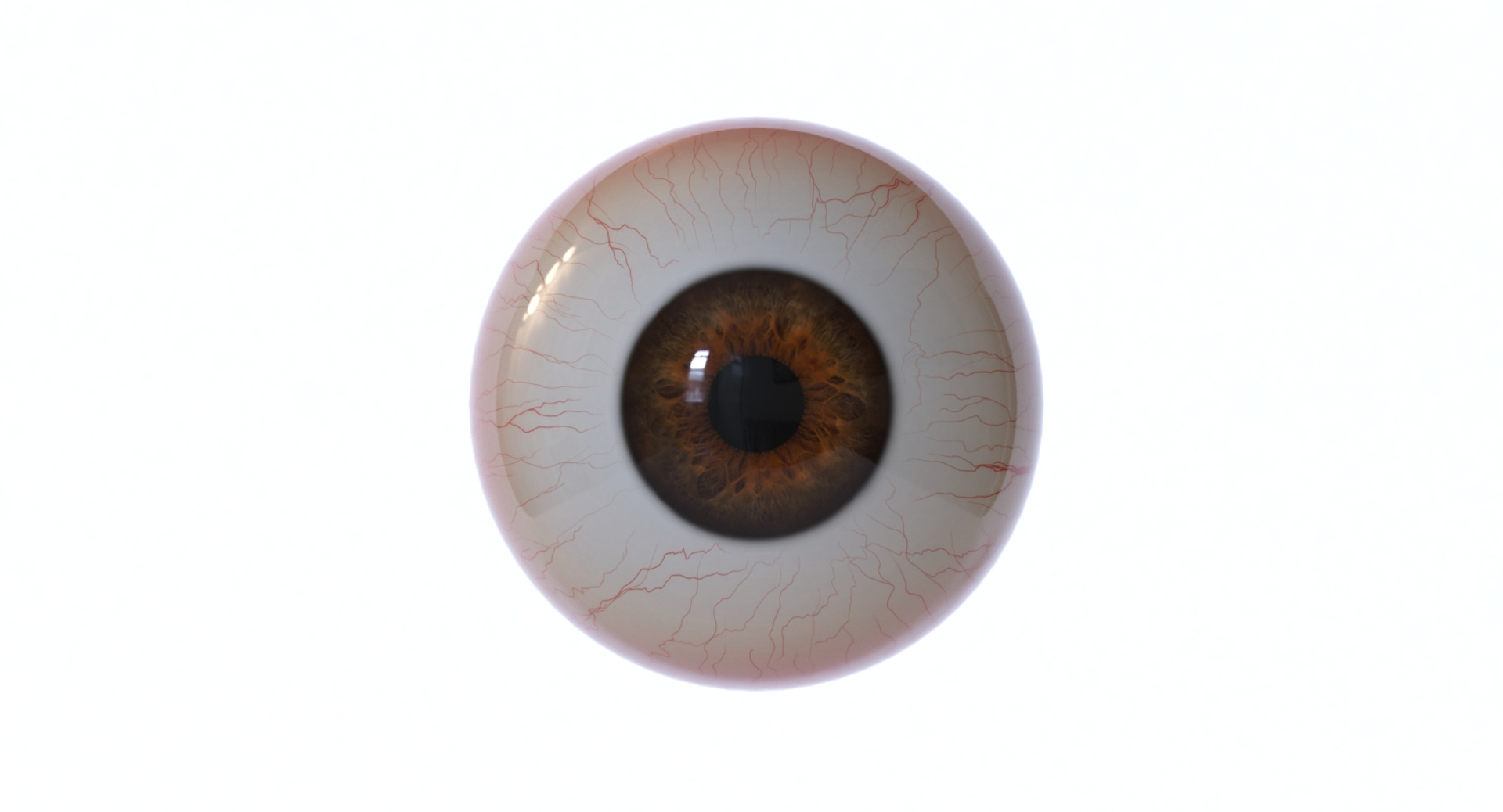 Eyeball collection 20 colors 4k textures Real-time 3D model 3D