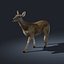 Doe (FUR) (ANIMATED)
