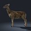 Doe (FUR) (ANIMATED)