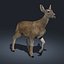 Doe (FUR) (ANIMATED)